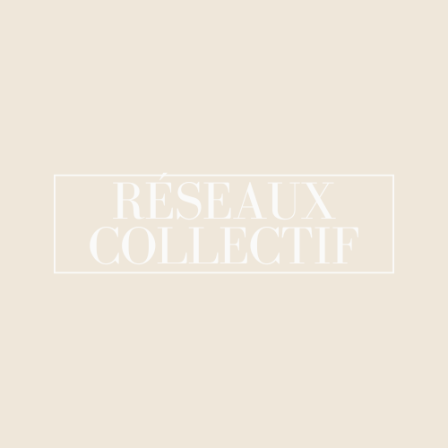 Gestion des Réseaux Sociaux du BTS collectif